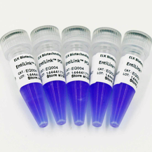 EntiLink™ PCR Master Mix