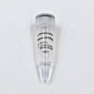 Inhibidor de RNasa