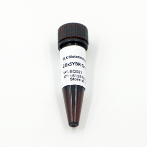 Tinte SYBR Green 20X